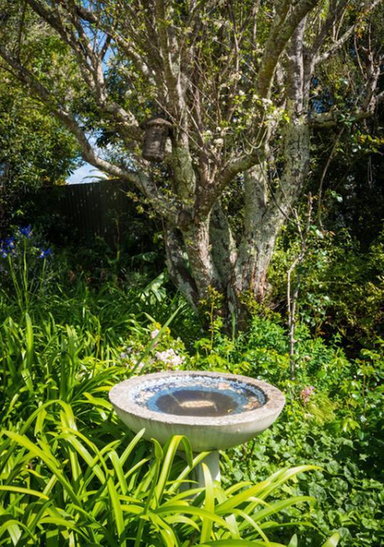 Villa The Courtyard Oneroa Exterior foto